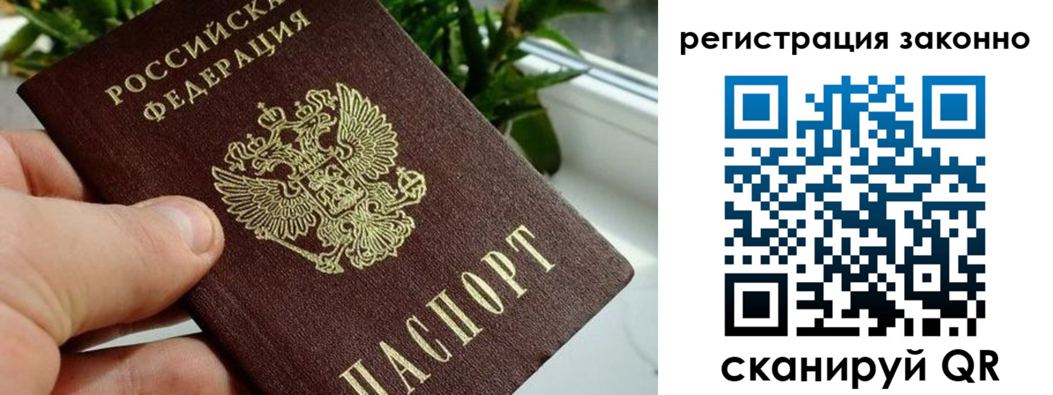 прописка гарантия в Пензенской области